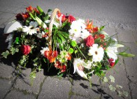 /album/galerie-de-photos-le-deuil/sam-0125-001-jpg/