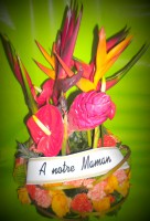 /album/galerie-de-photos-le-deuil/sam-0097-001-jpg/