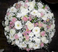 /album/galerie-de-photos-le-deuil/sam-0105-001-jpg/