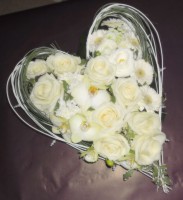 /album/galerie-de-photos-le-deuil/sam-0112-001-jpg/