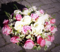 /album/galerie-de-photos-le-deuil/sam-0122-001-jpg/